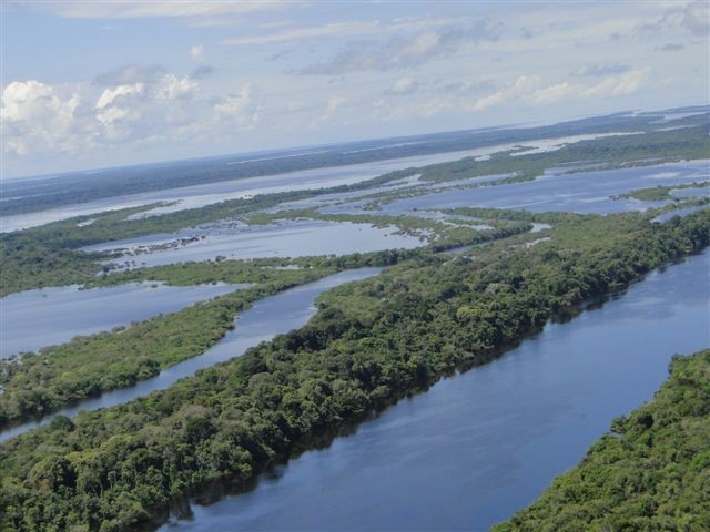 Vista area do arquiplago de Anavilhanas, no Rio Negro (Foto: Rede Globo)