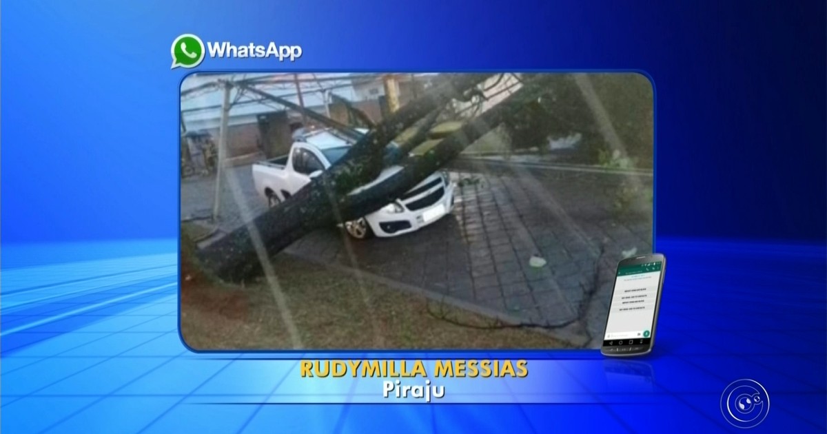 Árvores caem e atingem carros durante forte chuva em Piraju - Globo.com