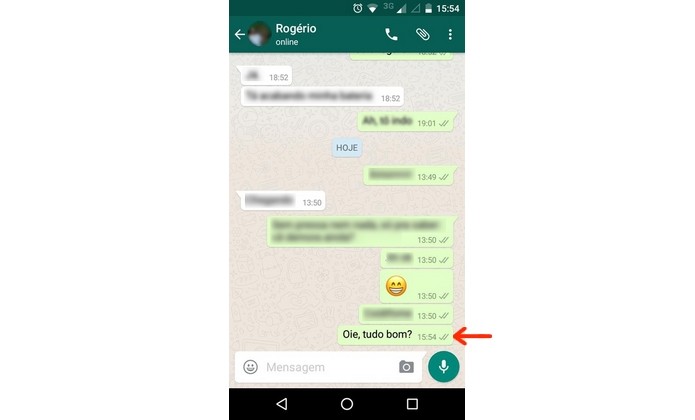 Chat no WhatsApp para Android com contato sem confirmação de leitura (Foto: Reprodução/Raquel Freire)