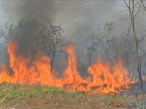 Número de queimadas dispara no Mato Grosso (Foto: Reprodução/TV Globo)