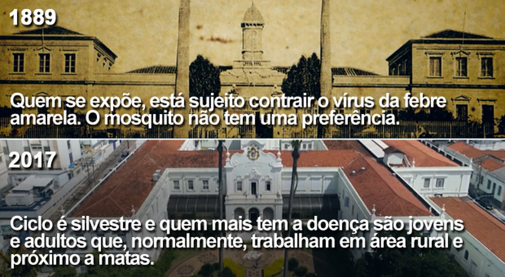 Infográfico elaborado em 18/05/2017 (Foto: Matheus Rodrigues / Arte G1)