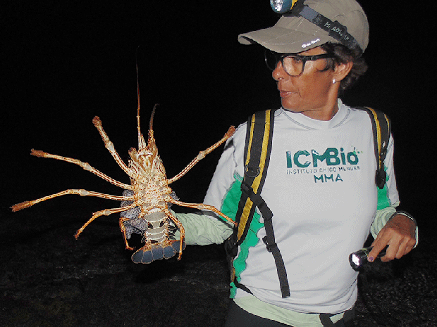 Com pesca proibida, lagostas ficam protegidas no Atol das Rocas (Foto: Fred Carvalho/G1)