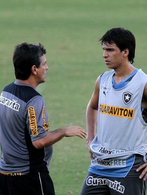 Zeballos Botafogo (Foto: Satiro Sodré / SSPress)