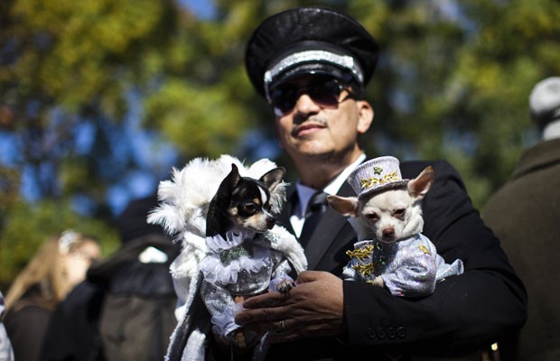 Homem leva cães para a praça Tompkins, em Nova York (Foto: Eduardo Munoz/Reuters)