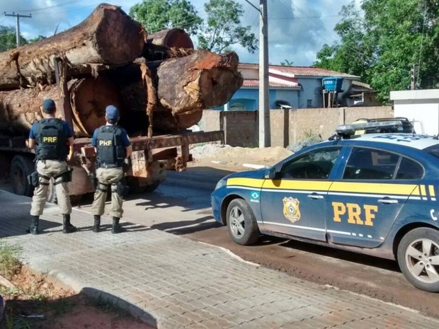 G1 Polícia Rodoviária apreende madeira ilegal em caminhão no interior