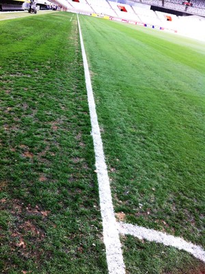 Gramado do Mineirão (Foto: Maíra Lemos/TV Globo)