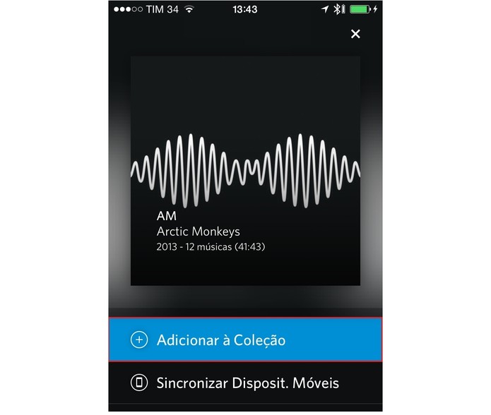 Clique sobre Adicionar à Coleção para salvar o álbum (Foto: Reprodução/Paulo Finotti)