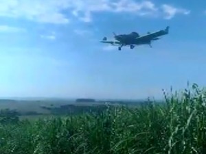 Avio faz pulverizao com agrotxico em canavial de Porto Ferreira (Foto: Reproduo/EPTV)