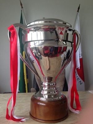 Troféu do Campeonato Mineiro de 2015 (Foto: Divulgação/FMF)