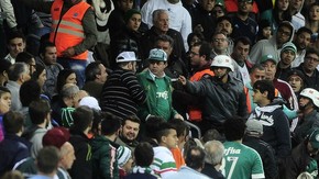 Torcedor Palmeiras copo (Foto: Marcos Ribolli ) Torcedor Palmeiras copo (Foto: Marcos Ribolli )