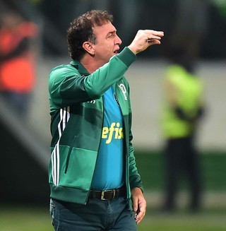 Cuca Palmeiras x Figueirense (Foto: Marcos Ribolli)