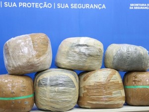 Drogas foram apreedidas em operação da Polícia Civil (Foto: SSP/SE)