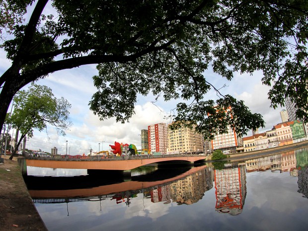 Galo da Madrugada começa a ser montado no Recife (Foto: Aldo Carneiro/Pernambuco Press)