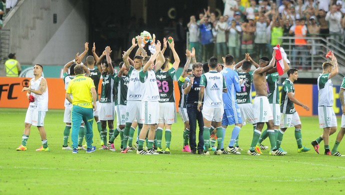 Palmeiras x Sport (Foto: Marcos Ribolli)