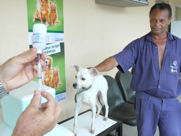 Campanha acontece até o dia 11 de abril e tem o objetivo de vacinar todos os cães e gatos no estado. (Foto: Romero Mendonça/Secom ) Campanha acontece até o dia 11 de abril e tem o objetivo de vacinar todos os cães e gatos no estado. (Foto: Romero Mendonça/Secom )