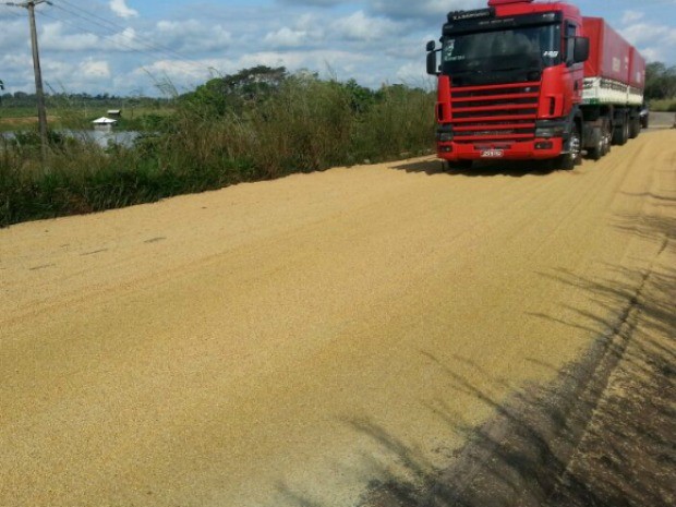 As duas pistas da rodovia ficaram tomadas pela soja; trânsito foi parcialmente interditado (Foto: Fábio Jara/Arquivo Pessoal)