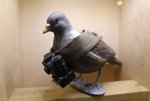 Câmera fotográfica que era carregada por uma pomba (Foto: Ina Fassbender/Reuters)