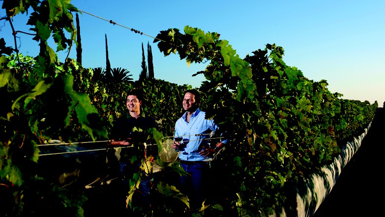 Tudo que você queria saber sobre o polo - Revista Globo Rural