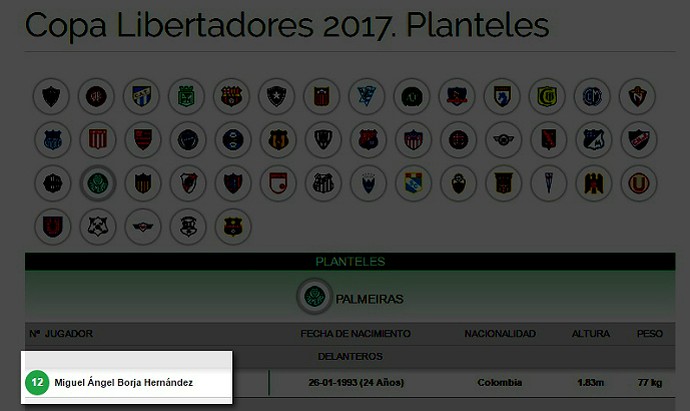 Borja + 29: colombiano já aparece em relação do Palmeiras na Libertadores