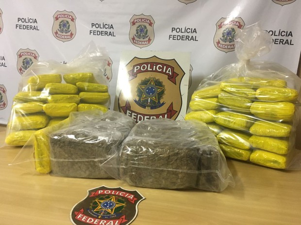 droga óbidos (Foto: Divulgação/Polícia Federal de Santarém)