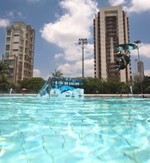 Marreco E O Rei Da Piscina No Wakeboard Radicais O Globo