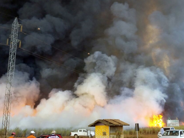 Incndio destruiu cerca de 2 mil hectares, segundo fazendeiros (Foto: Pedro Gabriel Gomes Borges/Arquivo Pessoal)
