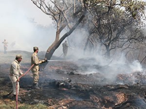 MT pode manter período proibitivo de queimadas prolongado, diz secretário (Foto: Secom-MT)