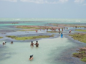 Picaozinho Tem Piscinas Entre Corais E Passeio De Catamara Em Joao Pessoa Paraiba G1