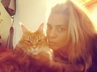 Gato de Carolina Dieckmann tem um Instagram próprio. Veja 7 fotos fofas