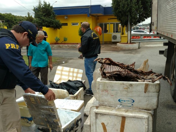PRF apreende 350 quilos de carne estragada na rodovia Fernão Dias (Foto: Divulgação/PRF)
