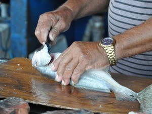 Vendedor manuseia peixe sem luvas (Foto: Zé Rodrigues/TV Tapajós)