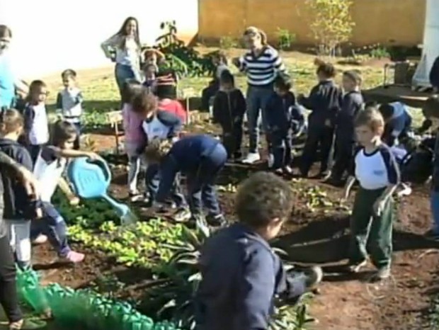 Os alunos cultivam hortaliças e frutas na horta da escola. (Foto: Reprodução TV Tem)