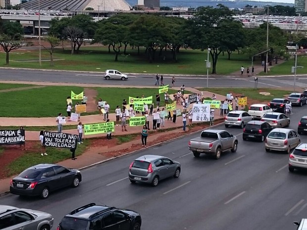 Grupo caminha em direção à Torre de TV, em Brasília, durante protesto contra a vaquejada neste domingo (27), em Brasília (Foto: Thiago Vilela/Arquivo Pessoal)