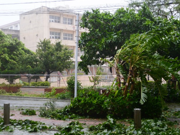 Ventos fortes derrubaram árvores em Naha, na ilha sul de Okinawa, no Japão, nesta terça-feira (8) (Foto: Jiji Press/AFP)