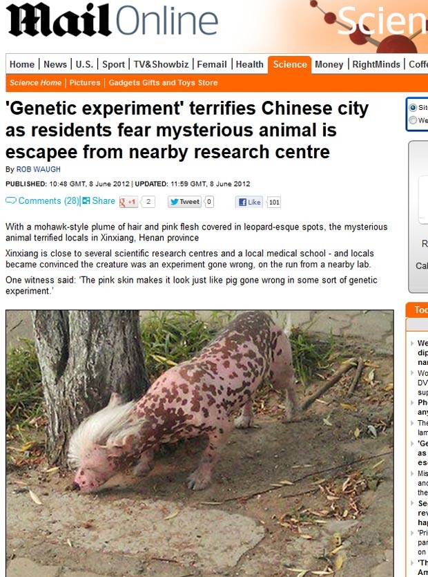 Animal deixou os moradores em Xinxiang aterrorizados. (Foto: Reprodução/Daily Mail)