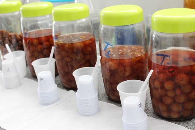 Compota de camu-camu: receitas são testadas  para incentivar o consumo da fruta  (Foto:  Embrapa/Clarice Rocha)