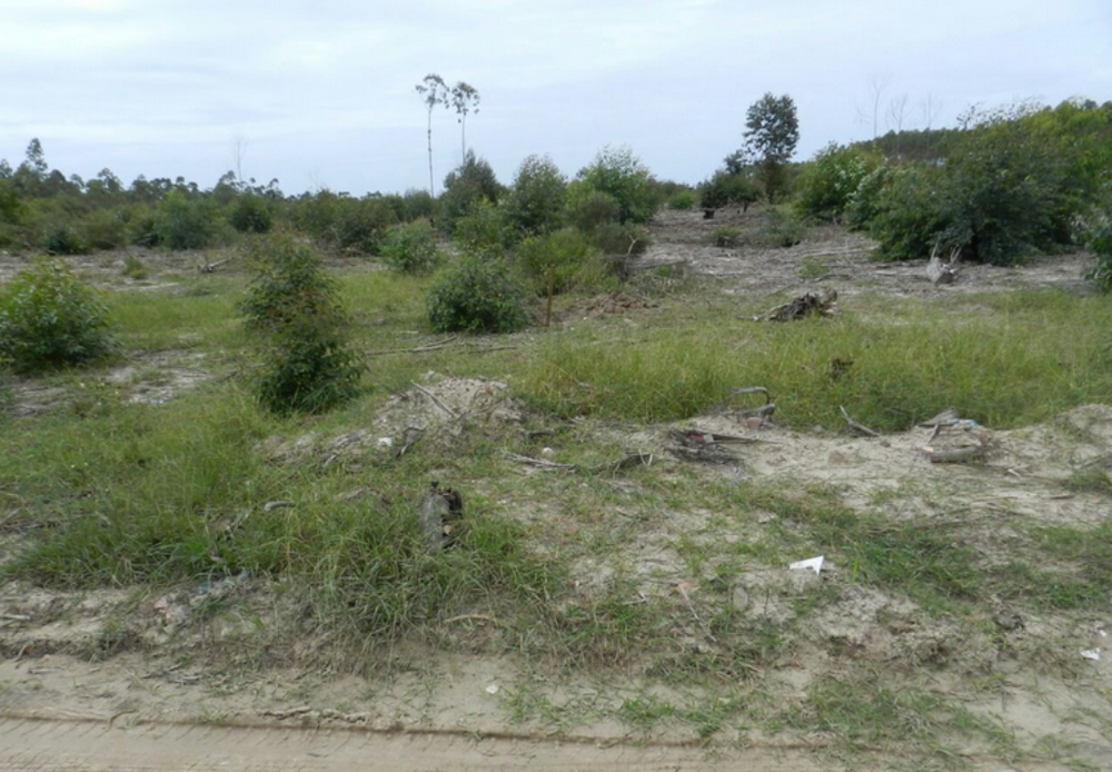 Restos mortais foram localizados em Araranguá e enviados para análise (Foto: Polícia Civil/Divulgação)