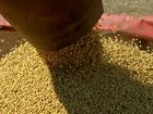 Levantamento da Conab amplia recorde da safra brasileira de grãos
