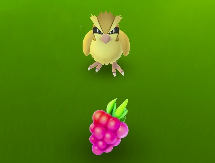Razz Berries deixam Pokémon mais fáceis de serem capturados (Foto: Reprodução/Youtube)