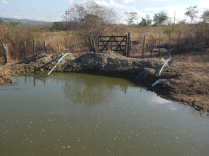 Água utilizada na irrigação era retirada de uma barragem (Foto: Divulgação/Polícia Federal)