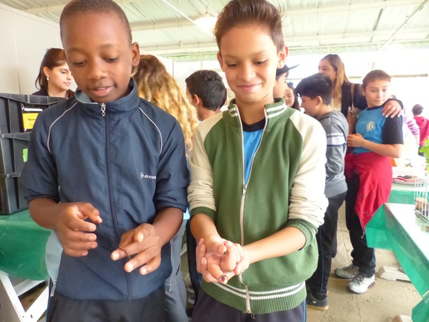 Crianças se divertem ao pegarem minhocas em meio a visita ao programa Solo na Escola (Foto: Bibiana Dionísio/ G1 PR)