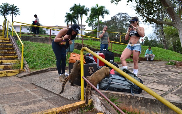 Syllvia Andrade, Geisa Vitorino e guaxinins na pesagem do Jungle Fight (Foto: Ivan Raupp)