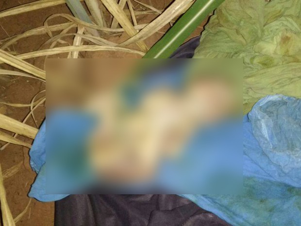 Recém-nascido foi encontrado em canavial em Fernando Prestes (Foto: Arquivo Pessoal)