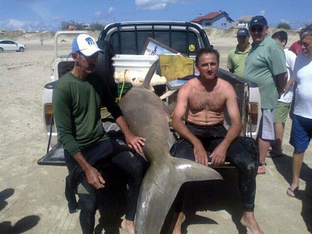 Pescador encontra tubarão no Litoral Norte gaúcho (Foto: Arquivo Pessoal)
