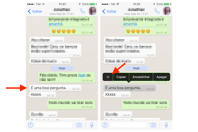 Sinalizando uma mensagem no WhatsApp pelo iPhone (Foto: Reprodução/Marvin Costa)