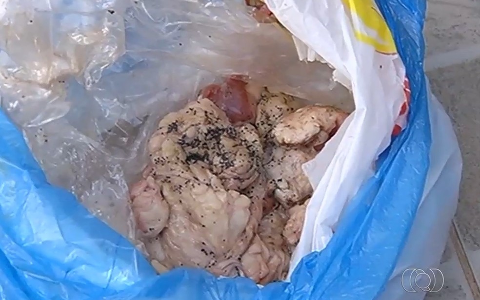 Pedaços de carne achados perto de cães foram enviados para análise (Foto: Reprodução/TV Anhanguera)