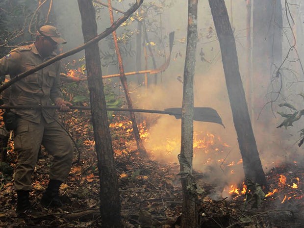 Bombeiros tentam controlar incêndio no Parque Estadual Serra Azul, em MT. (Foto: Edevilson Arneiro/Prefeitura de Barra do Garças-MT)