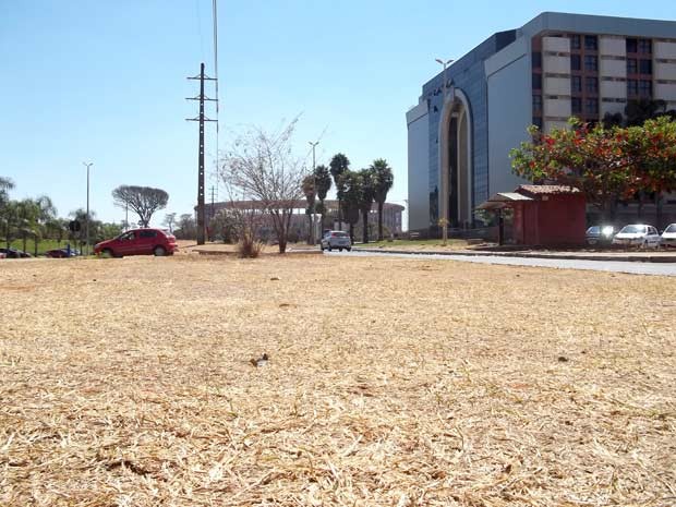 Gramado seco na região central de Brasília, próximo ao Estádio Nacional. De acordo com o Insitituto Nacional de Meteorologia (Inmet ) a umidade pode cair para 20% neste domingo. Na semana a umidade chegou a 16%, levando a Defesa Civil a decretar estado de alerta. A Secretaria de Educação do DF orientou as escolas públicas a suspender atividades sob o sol entre 10h e 17h. (Foto: Lucas Nanini / G1 DF)