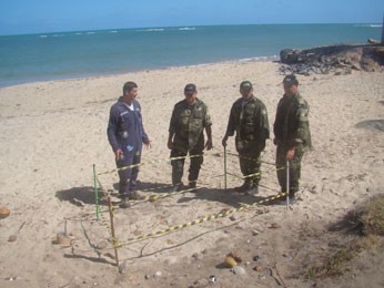 Outro ninho está na Praia de Candeias, perto do restaurante Candelária (Foto: Adriano Artoni/Acervo Pessoal) Outro ninho está na Praia de Candeias, perto do restaurante Candelária (Foto: Adriano Artoni/Acervo Pessoal)