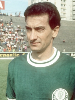 Olegário Tolói de Oliveira, o Dudu, jogador do Palmeiras nas décadas de 70 e 60 (Foto: Reprodução SporTV)